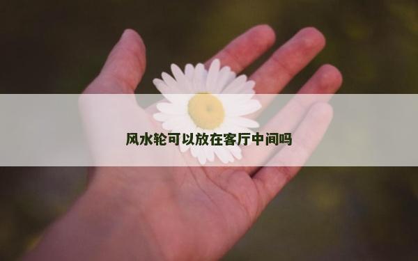 风水轮可以放在客厅中间吗