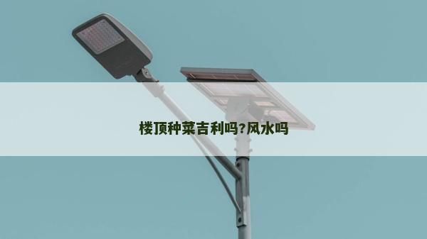 楼顶种菜吉利吗?风水吗