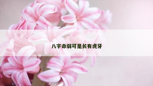 八字命弱可是长有虎牙
