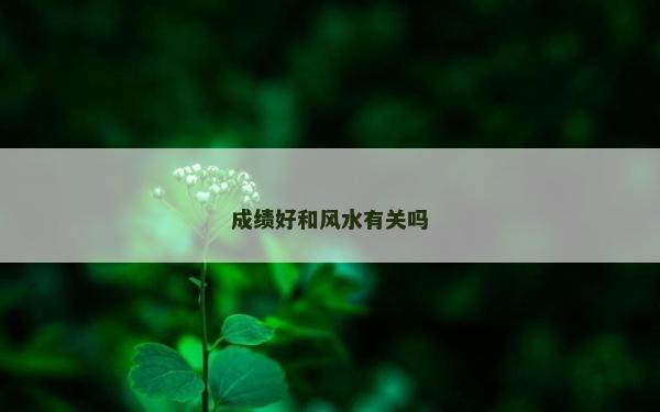 成绩好和风水有关吗