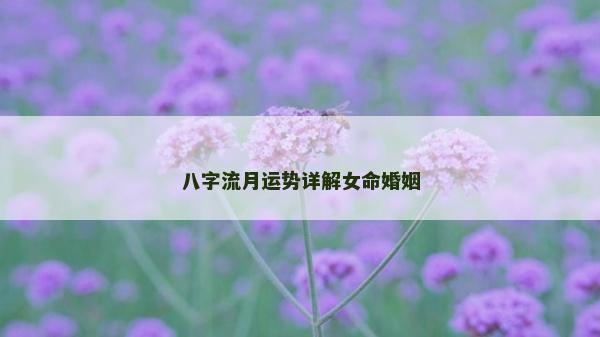 八字流月运势详解女命婚姻