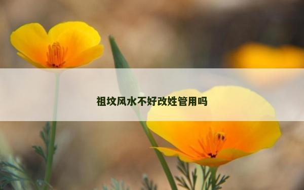 祖坟风水不好改姓管用吗