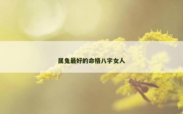 属兔最好的命格八字女人