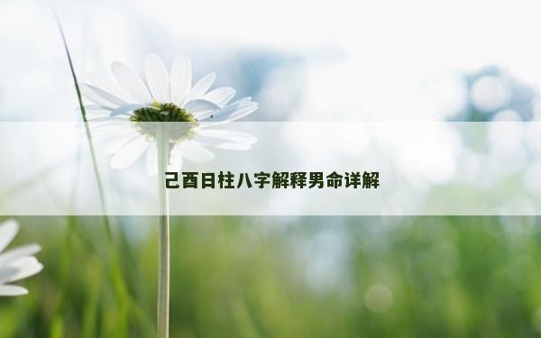己酉日柱八字解释男命详解