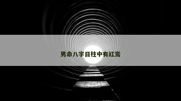 男命八字日柱中有红鸾