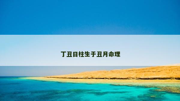 丁丑日柱生于丑月命理