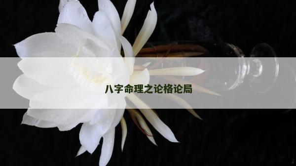 八字命理之论格论局
