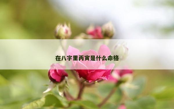 在八字里丙寅是什么命格