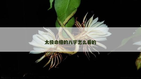 太极命格的八字怎么看的