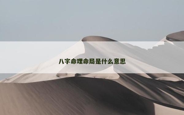 八字命理命局是什么意思