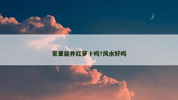 家里能养红萝卜吗?风水好吗