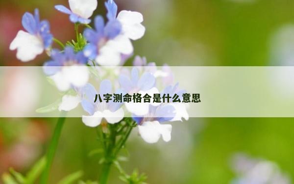 八字测命格合是什么意思