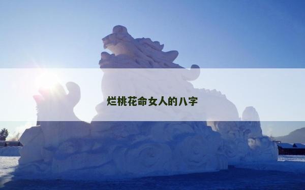 烂桃花命女人的八字