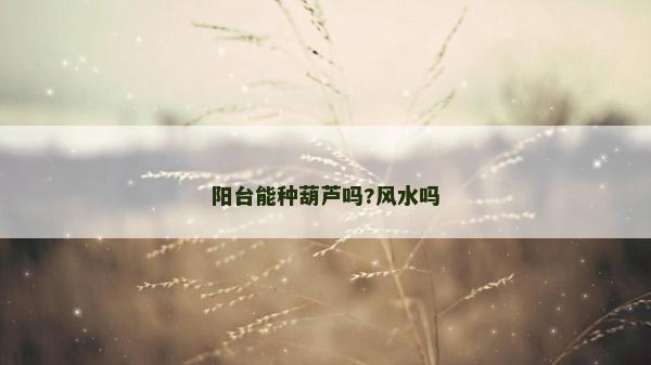 阳台能种葫芦吗?风水吗