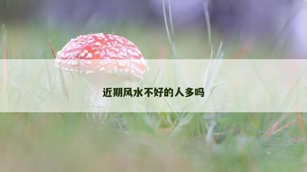 近期风水不好的人多吗