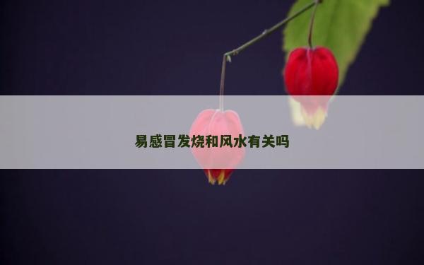 易感冒发烧和风水有关吗