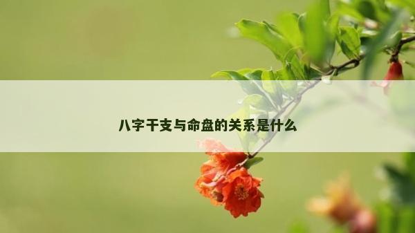 八字干支与命盘的关系是什么