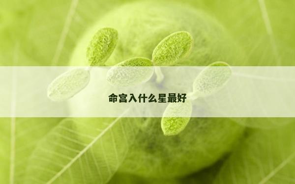 命宫入什么星最好