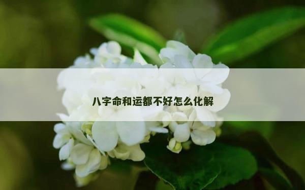 八字命和运都不好怎么化解