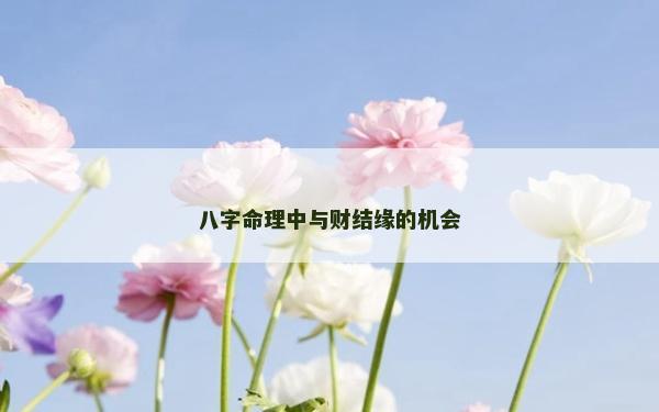 八字命理中与财结缘的机会