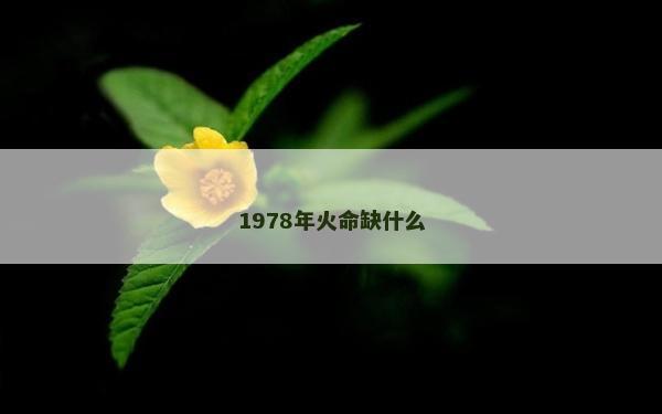 1978年火命缺什么