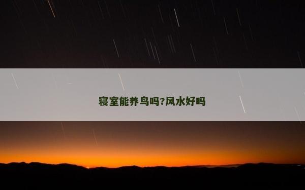寝室能养鸟吗?风水好吗
