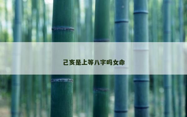 己亥是上等八字吗女命