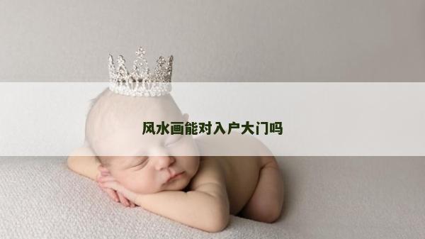 风水画能对入户大门吗