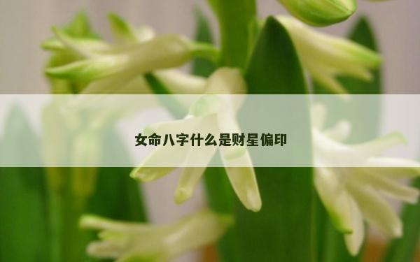 女命八字什么是财星偏印
