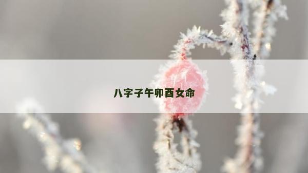 八字子午卯酉女命