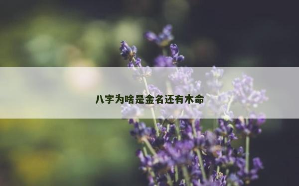 八字为啥是金名还有木命