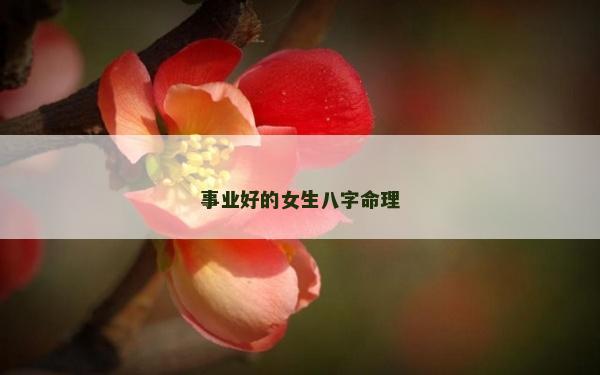 事业好的女生八字命理