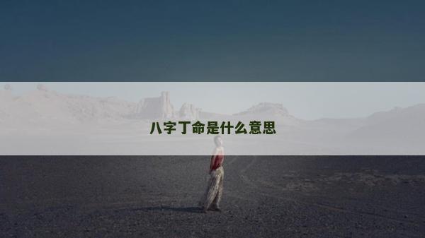八字丁命是什么意思