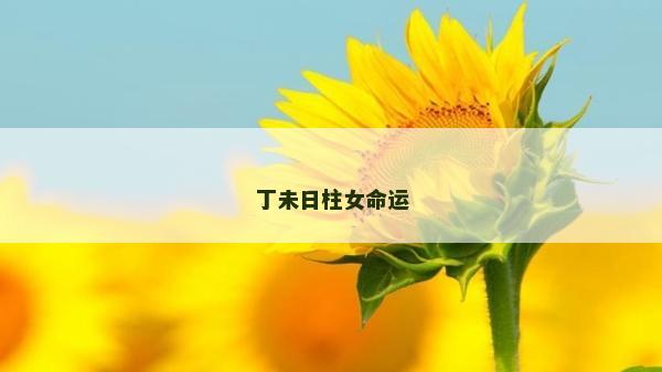 丁未日柱女命运