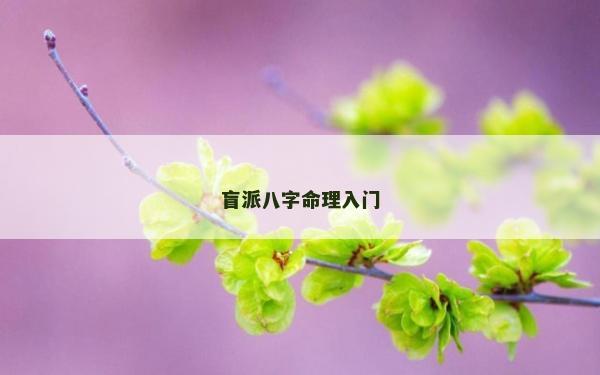 盲派八字命理入门