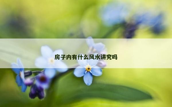 房子内有什么风水讲究吗