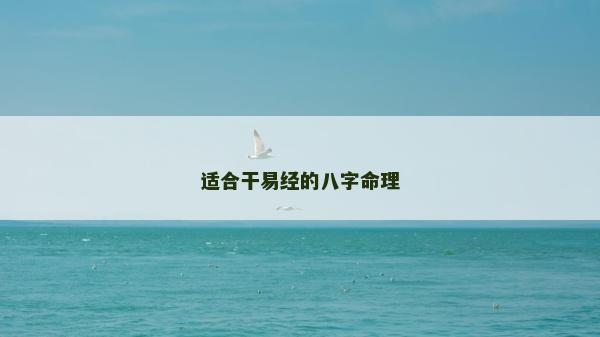 适合干易经的八字命理