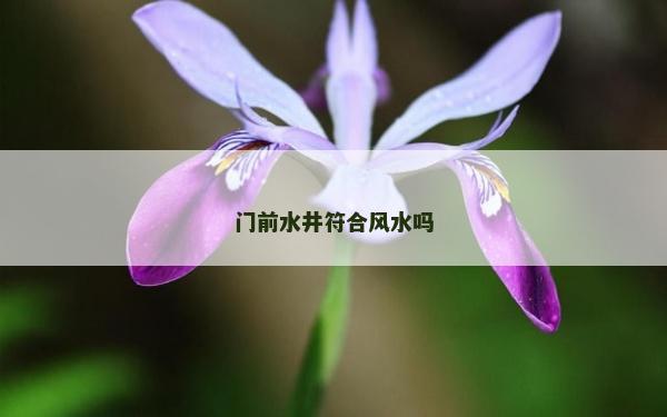 门前水井符合风水吗