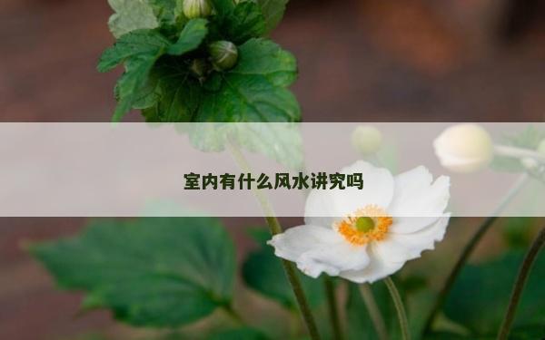 室内有什么风水讲究吗