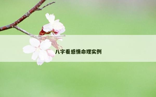 八字看感情命理实例