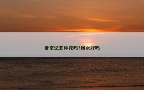 卧室适宜种花吗?风水好吗