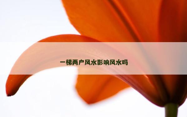 一梯两户风水影响风水吗