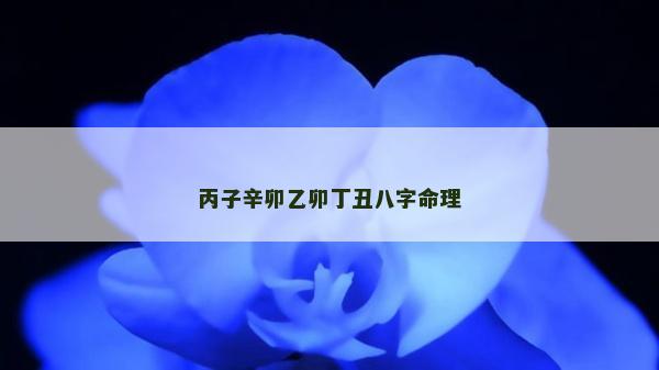 丙子辛卯乙卯丁丑八字命理