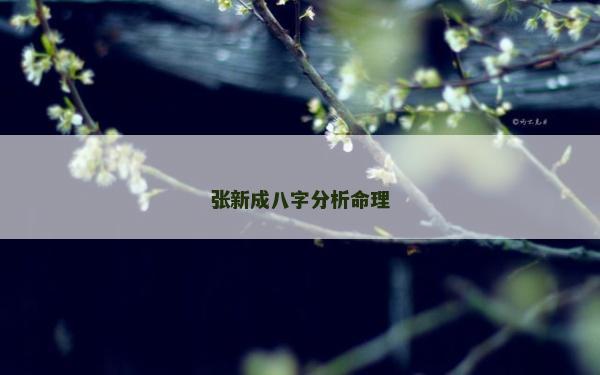 张新成八字分析命理