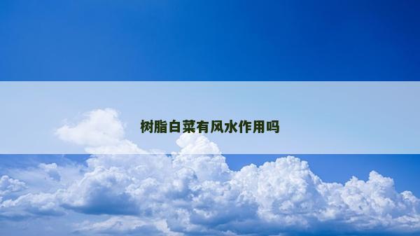 树脂白菜有风水作用吗