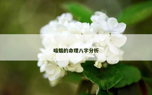 暗娼的命理八字分析