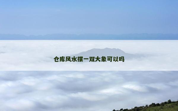 仓库风水摆一双大象可以吗
