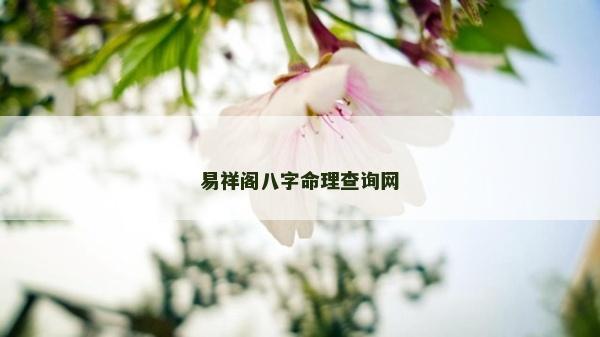 易祥阁八字命理查询网