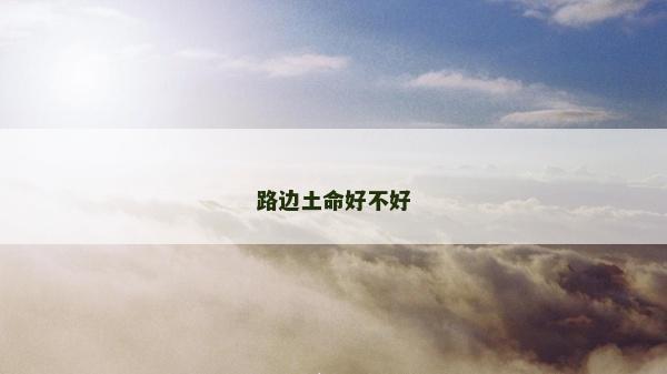 路边土命好不好