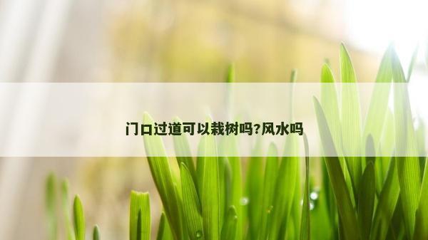 门口过道可以栽树吗?风水吗